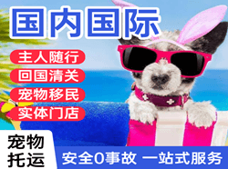 大兴航空物流国际宠物托运 【国